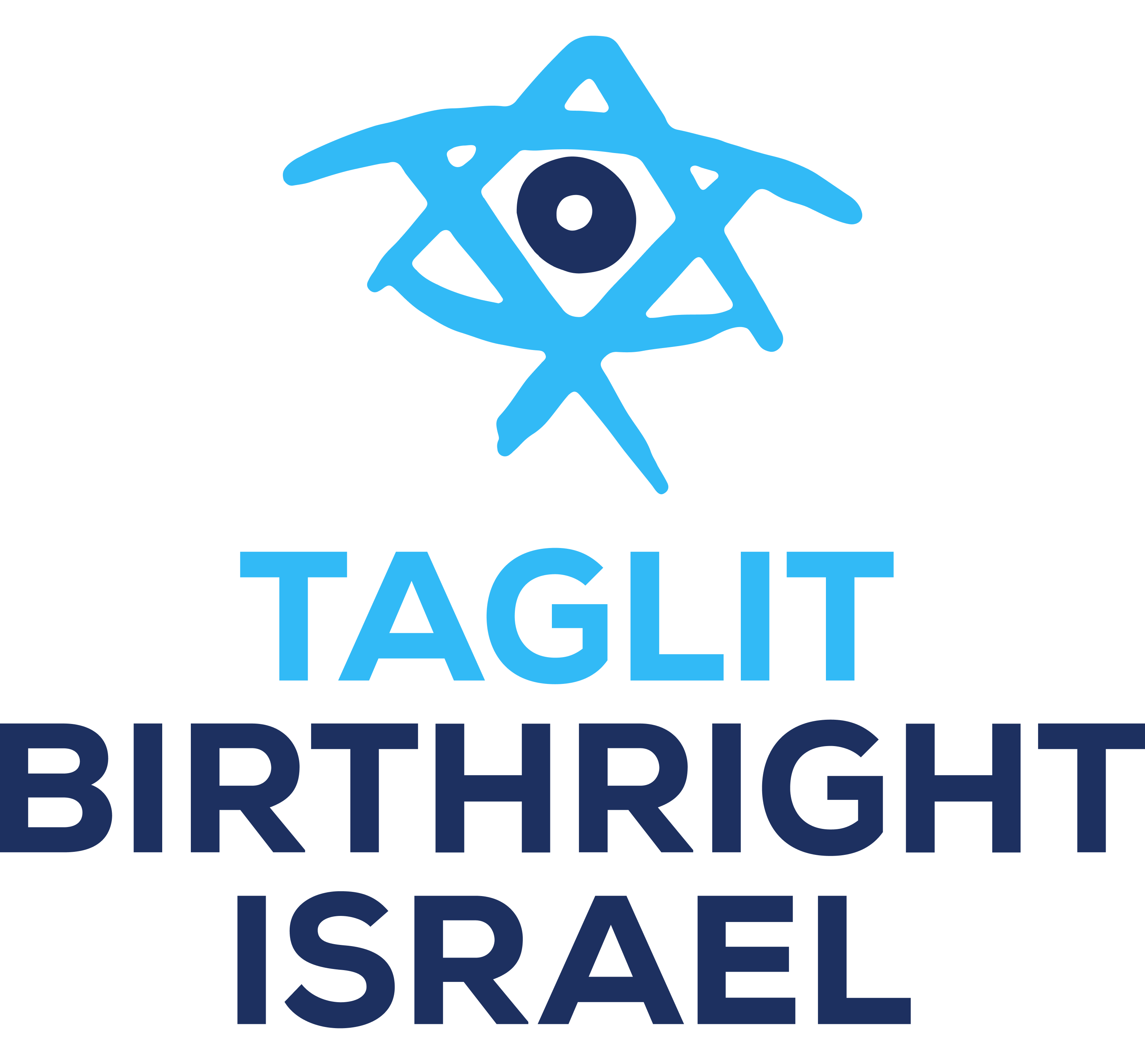 Taglit Birthright Israel